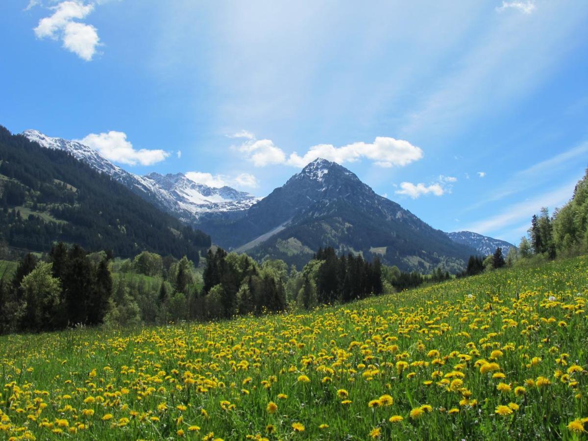 Hornblick Fewo- Ab Mai Freie Fahrt Mit Bergbahnen اوبرستدورف المظهر الخارجي الصورة