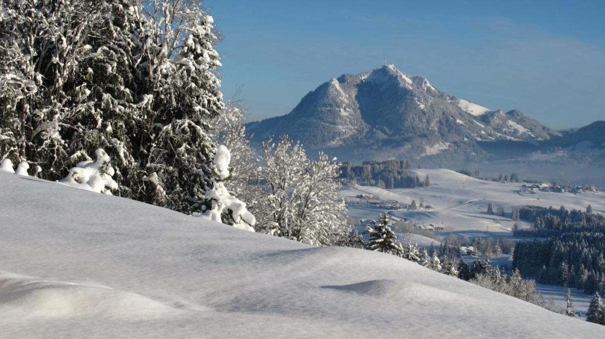 Hornblick Fewo- Ab Mai Freie Fahrt Mit Bergbahnen اوبرستدورف المظهر الخارجي الصورة
